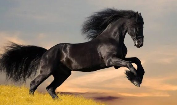 演古劝今指的是什么动物