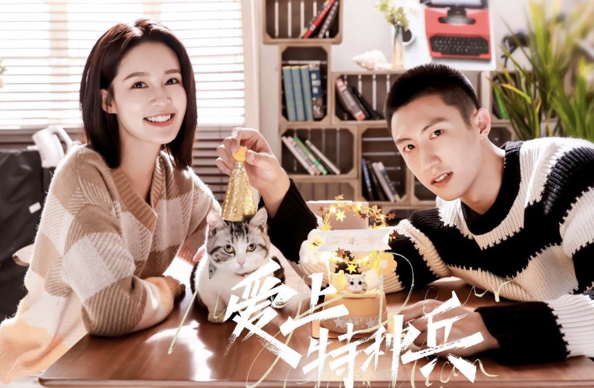 爱上特种兵分集剧情介绍