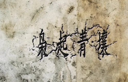 枭起青壤的主要内容是什么?