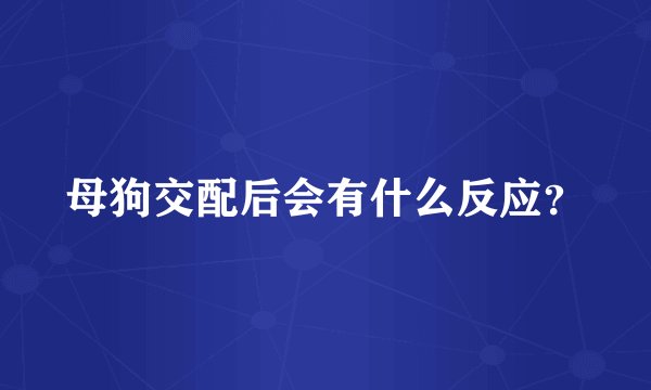 母狗交配后会有什么反应？