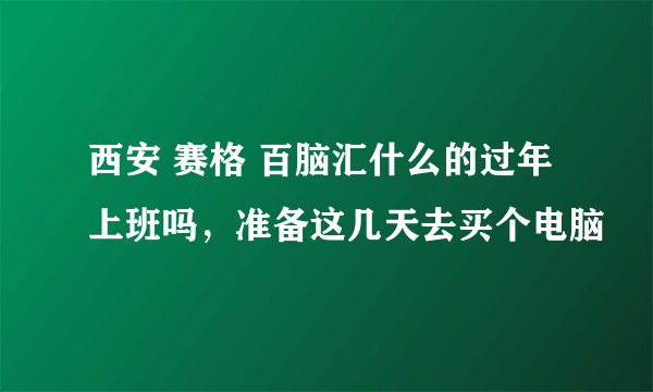 西安 赛格 百脑汇什么的过年上班吗，准备这几天去买个电脑