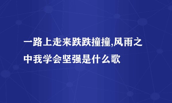 一路上走来跌跌撞撞,风雨之中我学会坚强是什么歌