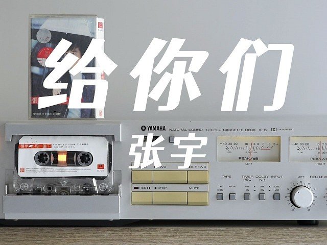 张宇《给你们》歌词