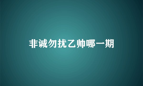 非诚勿扰乙帅哪一期