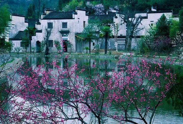 人间最美是四月天，下一句是什么？