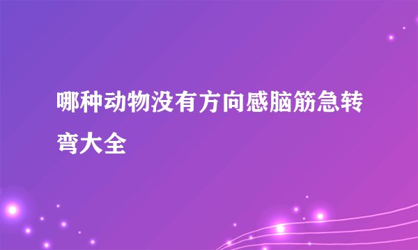 哪种动物没有方向感脑筋急转弯大全