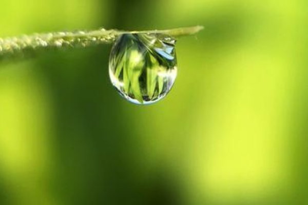 四月有什么节日