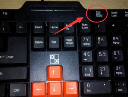 键盘上Print Screen键在哪个位置?