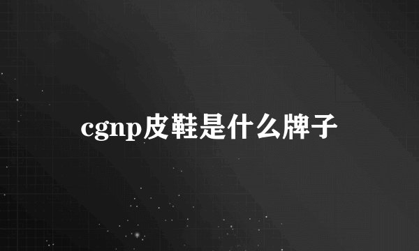 cgnp皮鞋是什么牌子