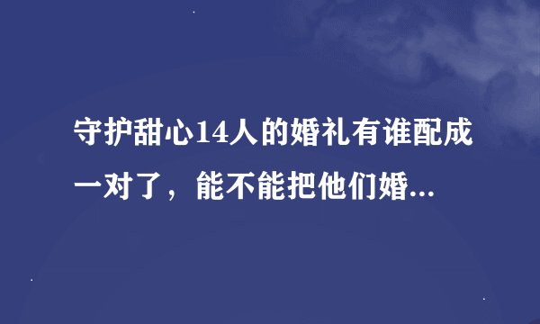 守护甜心14人的婚礼有谁配成一对了，能不能把他们婚礼的照片给我。