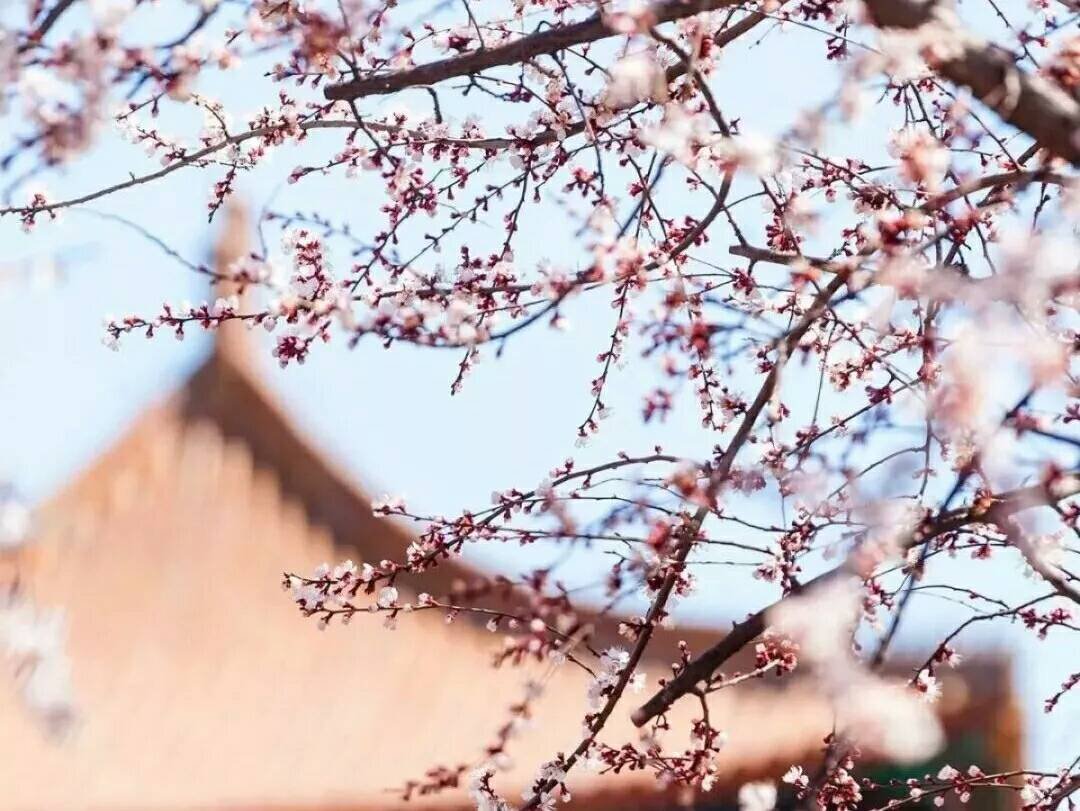 我心向山 君心向水。 来源于哪里？是什么意思。 有的麻烦写出详细的来源。