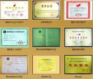 福建归真堂药业股份有限公司的上市路程