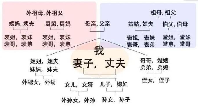 爸爸的姐妹称呼什么？