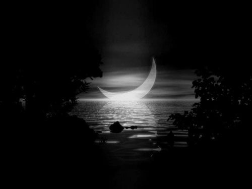 情义月光的介绍