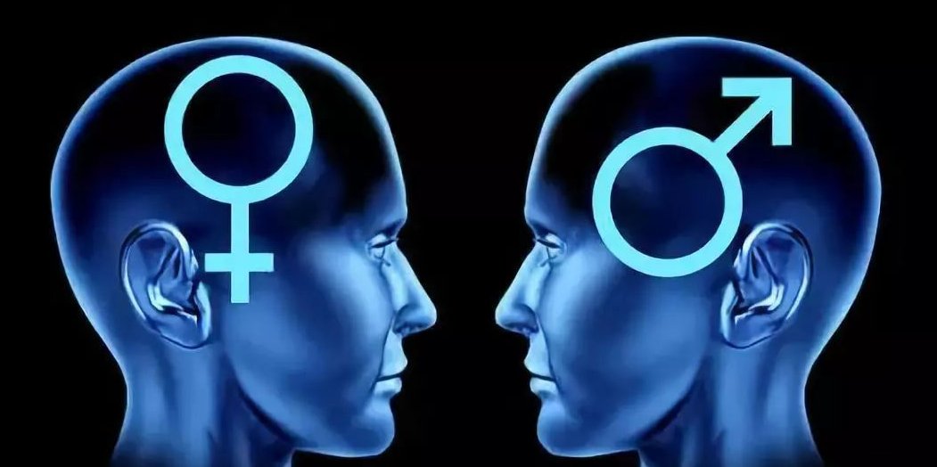 TS女孩是什么意思？