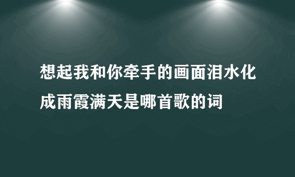 想起我和你牵手的画面泪水化成雨霞满天是哪首歌的词