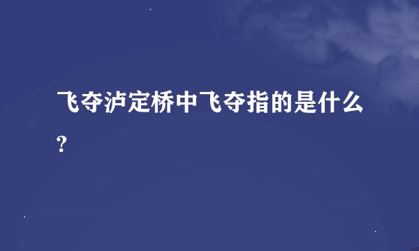 飞夺泸定桥中飞夺指的是什么?