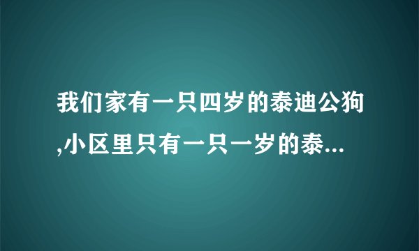 我们家有一只四岁的泰迪公狗,小区里只有一只一岁的泰迪公狗，家里只有我和妈妈，我们发现,每天晚上带它...