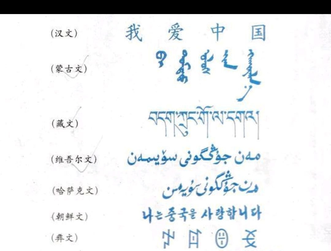 中国有多少种文字