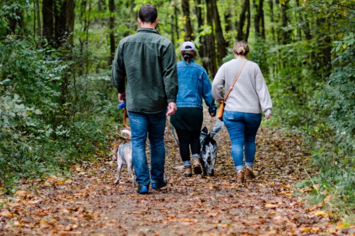 信步的意思是什么