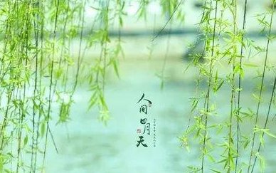 人间最美是四月天，下一句是什么？