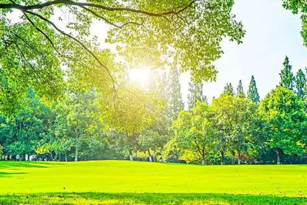 今天造句子一年级