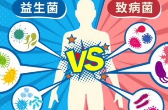 爷青结是什么意思?