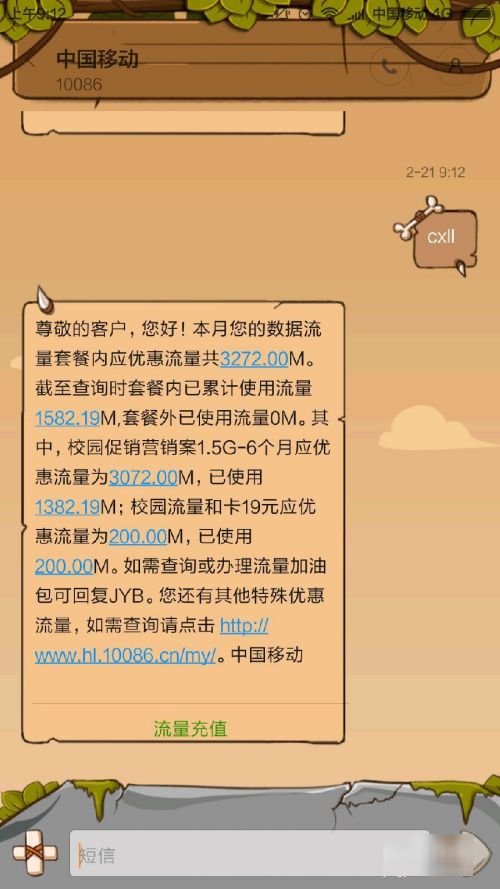 手机流量怎么查询