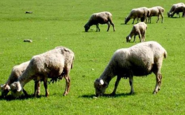 乙未年是哪一年？