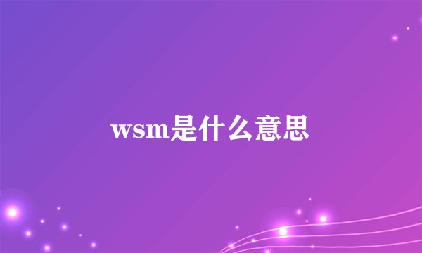 wsm是什么意思