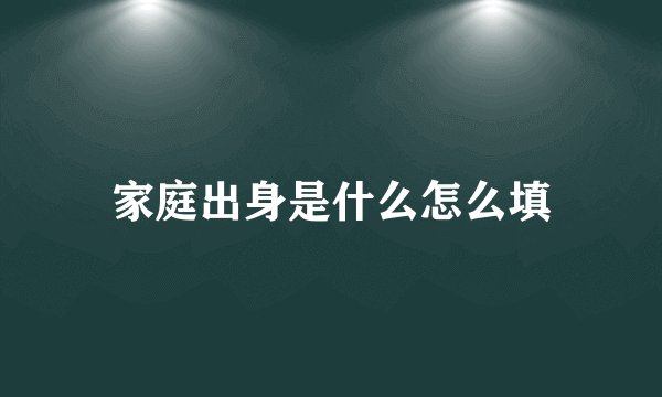 家庭出身是什么怎么填