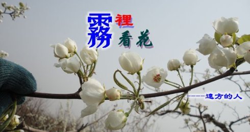 雾里看花、水中望月分别是什么意思？