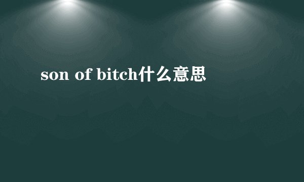 son of bitch什么意思