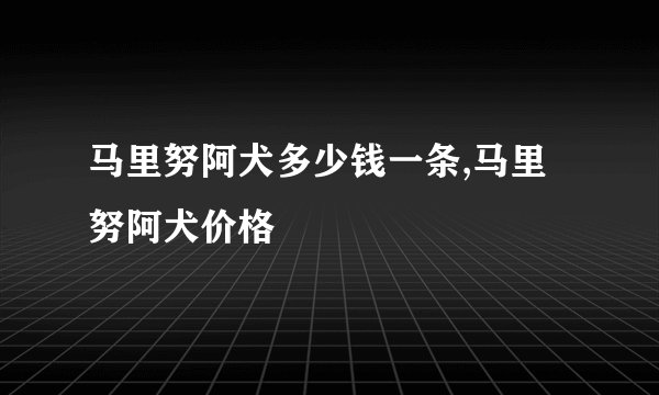 马里努阿犬多少钱一条,马里努阿犬价格