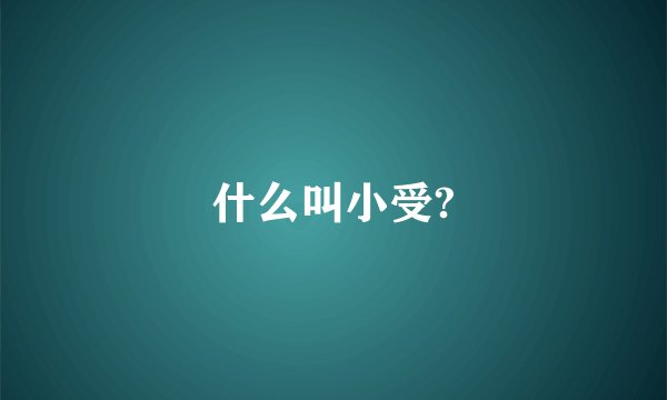 什么叫小受?