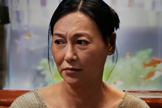 瞒天过海电影简介