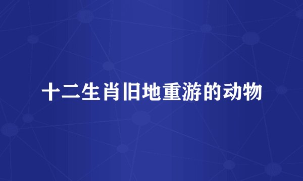 十二生肖旧地重游的动物