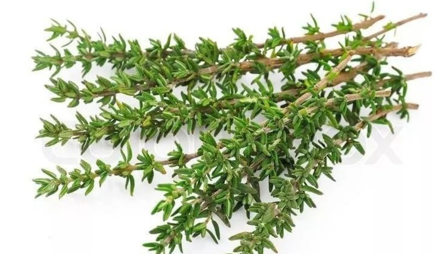 离骚高中背诵部分原文及翻译