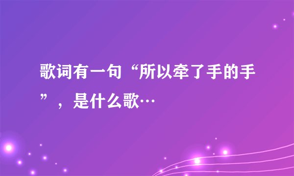 歌词有一句“所以牵了手的手”，是什么歌…