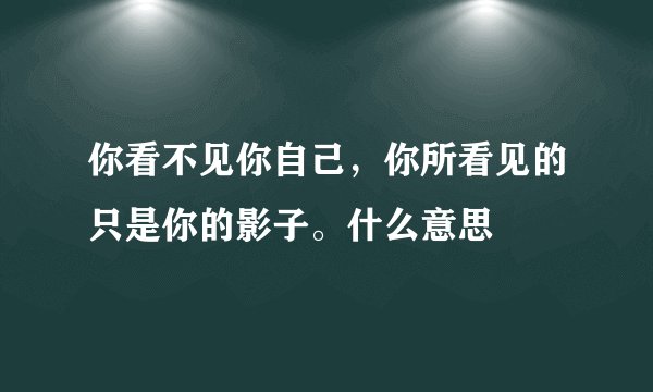 你看不见你自己，你所看见的只是你的影子。什么意思