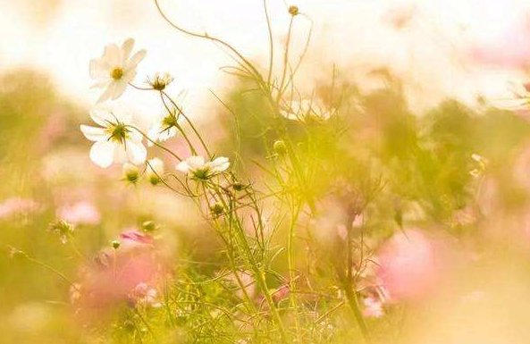 什么是缘起缘灭