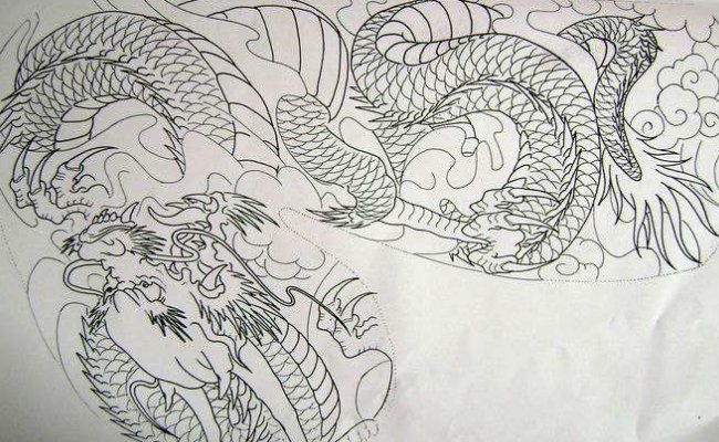 过肩龙和披肩龙的区别是什么？