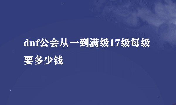 dnf公会从一到满级17级每级要多少钱