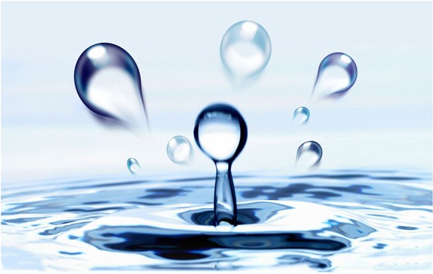 菁华和精华有什么区别？