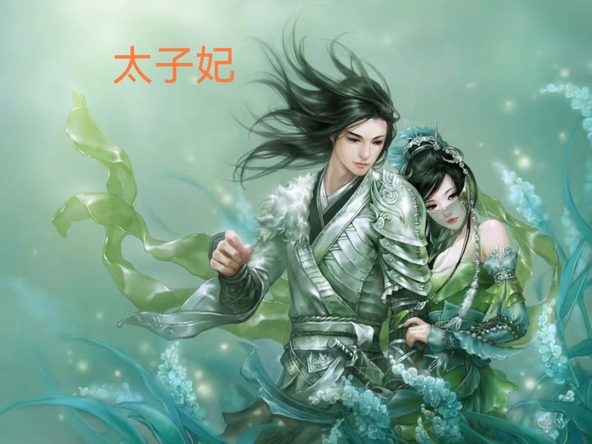 太子妃第十一章原版结局