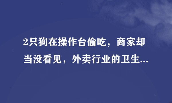 2只狗在操作台偷吃，商家却当没看见，外卖行业的卫生隐患该如何去除？
