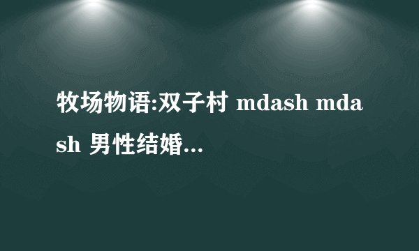 牧场物语:双子村 mdash mdash 男性结婚候补详细资料
