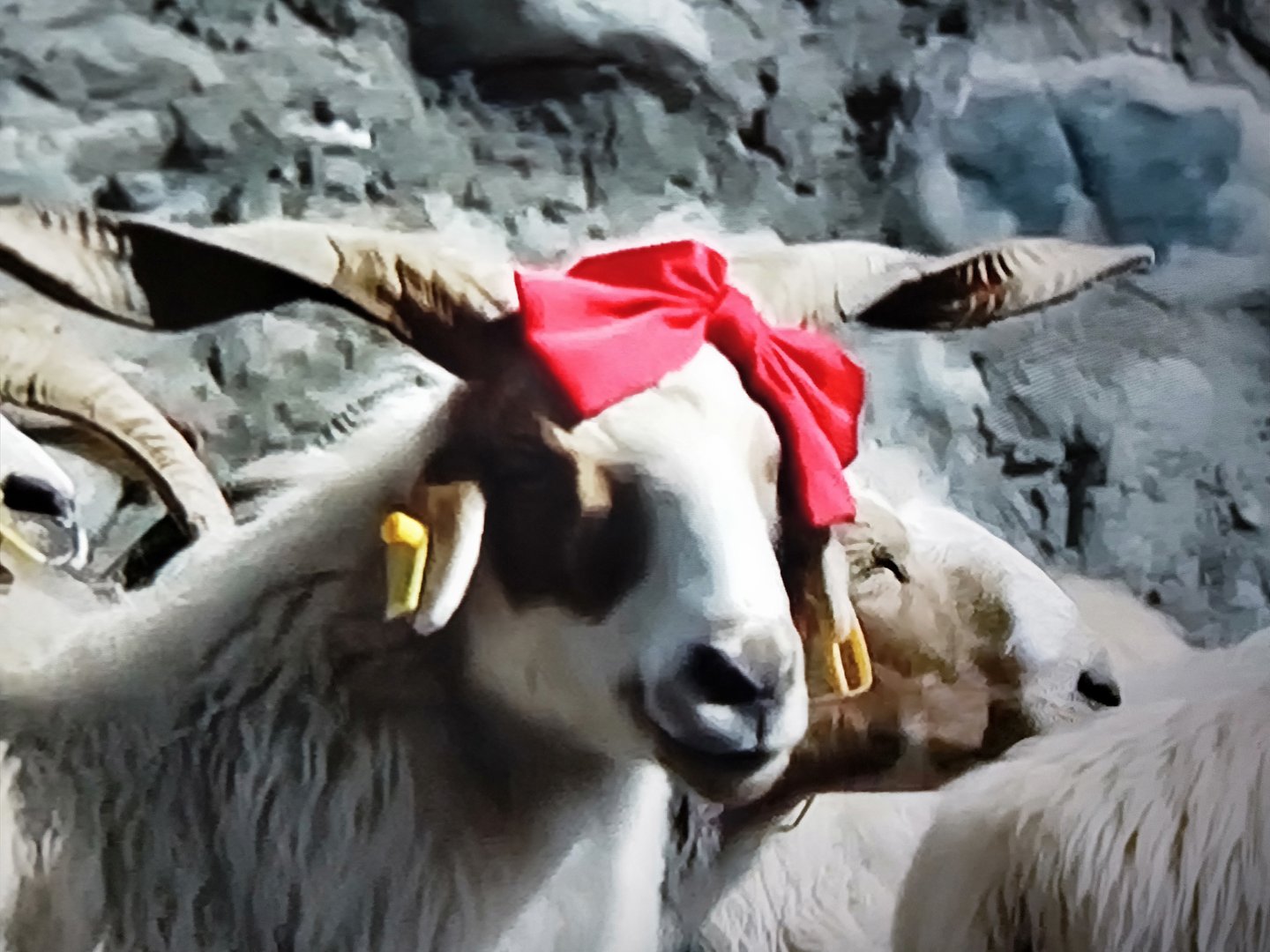 怎么树立远大的理想？