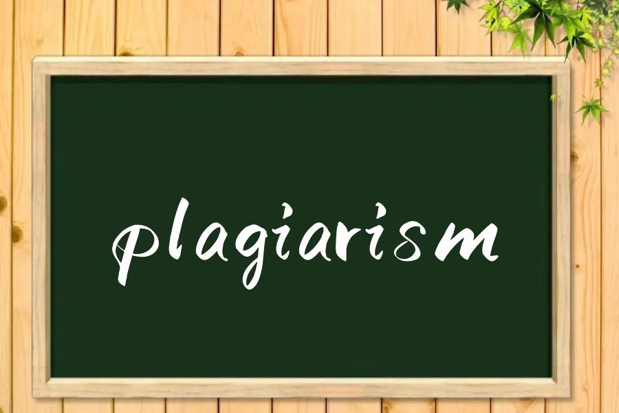 plagiarism是什么意思