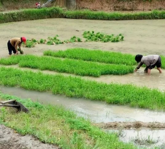 《退后原来是向前》出自哪